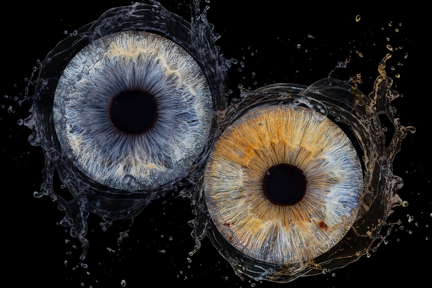 photographie iris dijon splash eau duo